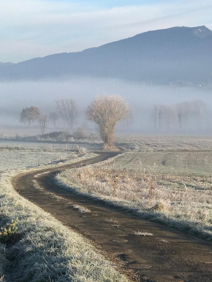 Saint-Martin-de-BavelLe Pipapoアパートメント エクステリア 写真